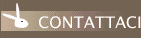 Contattaci